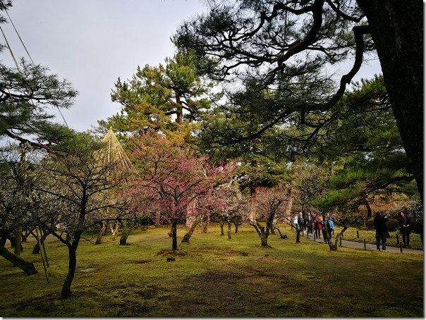 kenrokuen5017_thumb Kanazawa-日本三大名園 二訪兼六園 金澤必訪