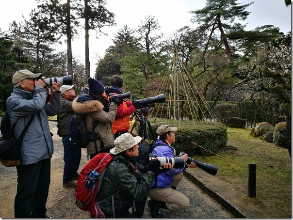 kenrokuen5020_thumb Kanazawa-日本三大名園 二訪兼六園 金澤必訪