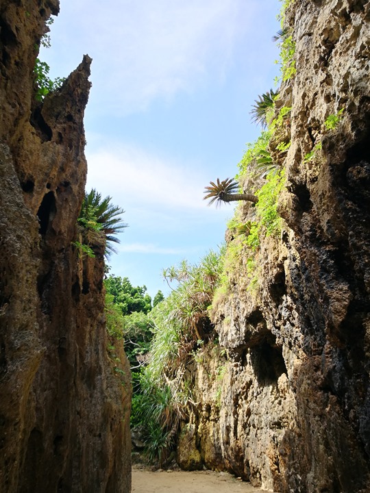 bisenowarumi010105 Okinawa-備瀬のワルミ備瀨一線天 通往聖地的入口