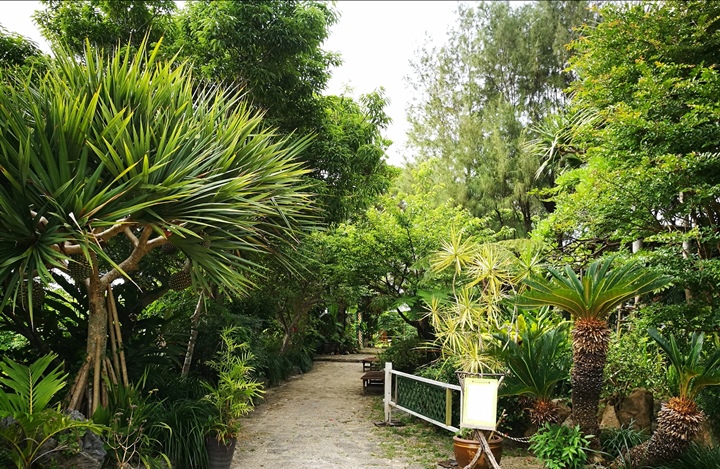 fuucafe01 Okinawa-沖繩瀨底島 綠樹環繞的隱藏版咖啡廳 Fuu Cafe自家咖啡搭配美味披薩與漢堡