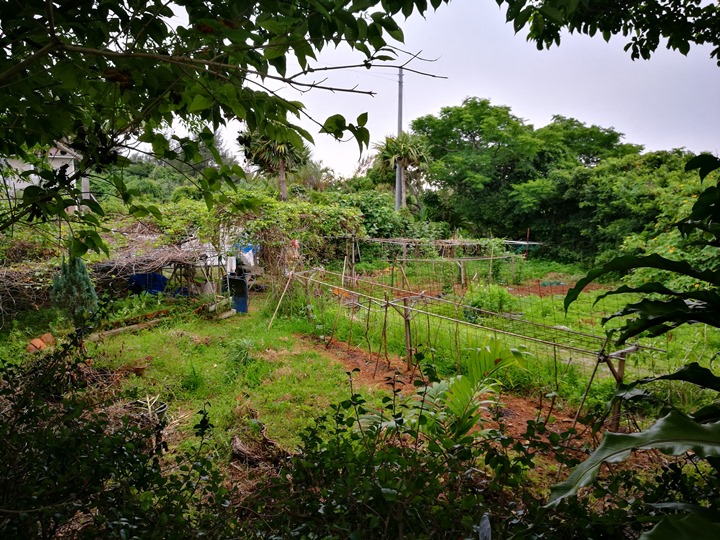 fuucafe04 Okinawa-沖繩瀨底島 綠樹環繞的隱藏版咖啡廳 Fuu Cafe自家咖啡搭配美味披薩與漢堡