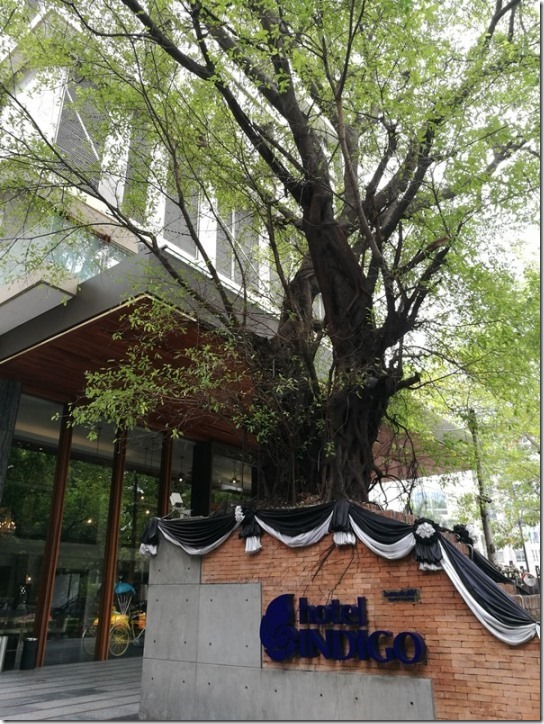 Bangkok-曼谷無線路英迪格酒店 (Hotel Indigo Bangkok Wireless Road) 融入在地特色旅店