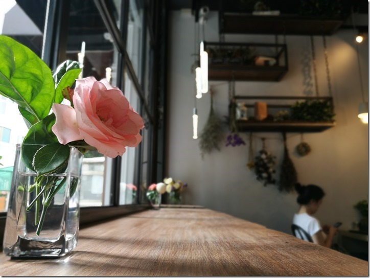 rueflower11_thumb 中壢-花間小路