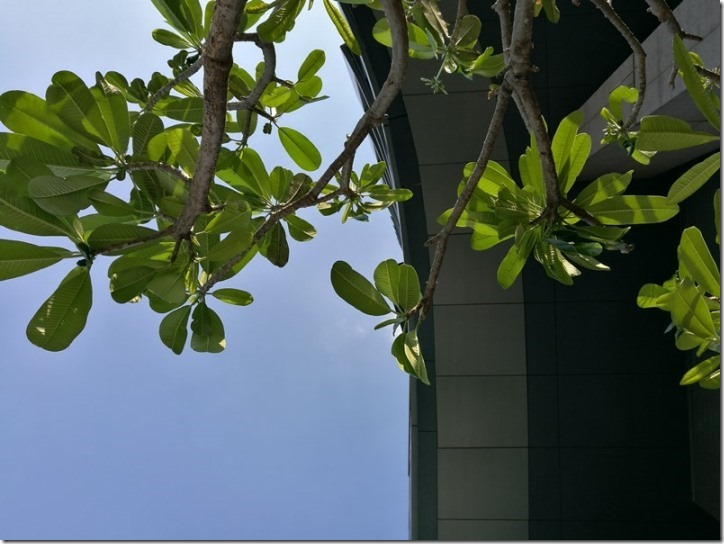 sosofitelbkk31_thumb Bangkok-曼谷So Sofitel服務優環境舒適 泳池一級棒