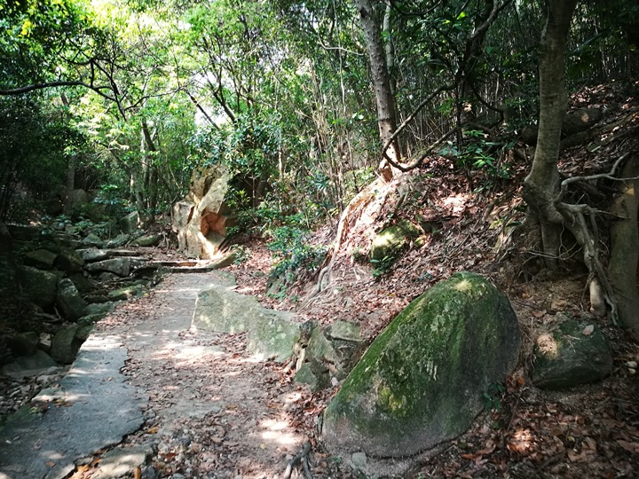 dragonbackmt.05 HK-亞洲最美市區行山徑-龍脊(港島徑第8段)