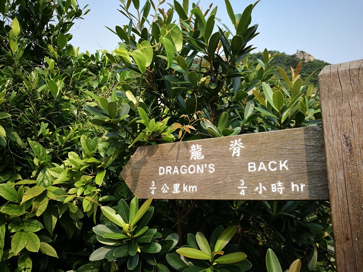 dragonbackmt.07 HK-亞洲最美市區行山徑-龍脊(港島徑第8段)