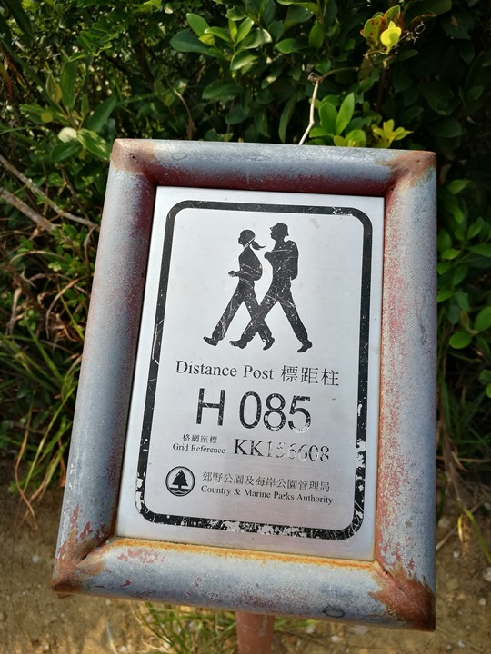 dragonbackmt.09 HK-亞洲最美市區行山徑-龍脊(港島徑第8段)