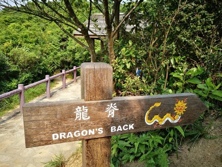 dragonbackmt.10 HK-亞洲最美市區行山徑-龍脊(港島徑第8段)