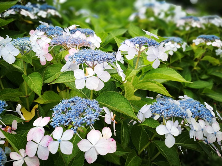 earthcape17 Muroran-北海道室蘭美景 地球岬/金屏風/白鳥大橋