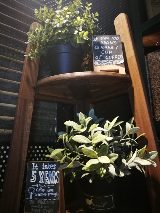 panmallette11 中壢-Pan Mallette胖馬樂 澳洲美食集散地