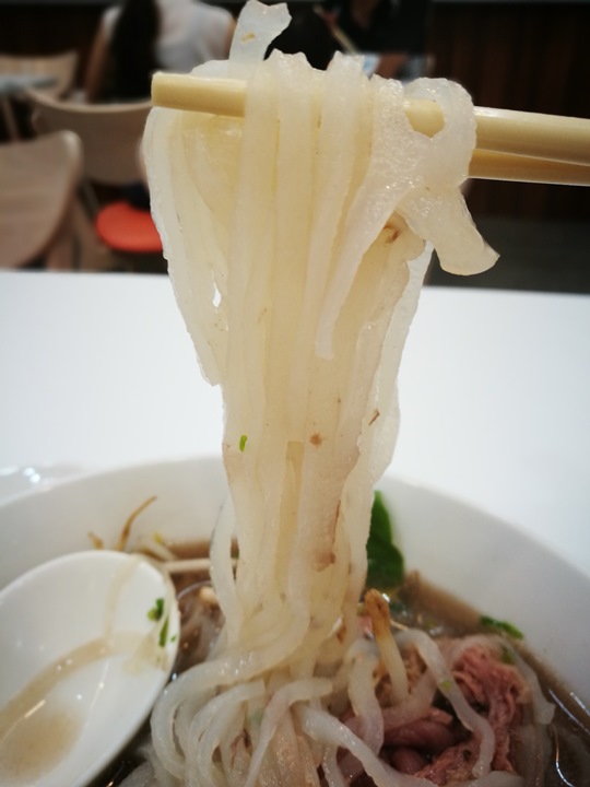 phochupei119 竹北-河內河粉 普通普通而已
