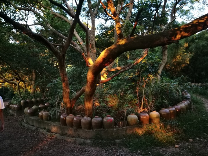 wuliquorbottle06 蘆竹-南崁五酒桶山 輕鬆走看日落