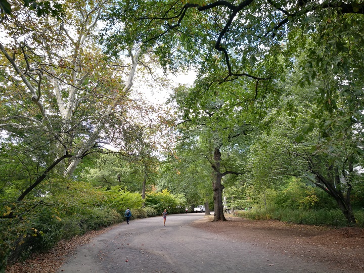 centralpark07 New York-果真大蘋果之紐約真好玩 中央公園 躺著曬太陽也愜意的好所在