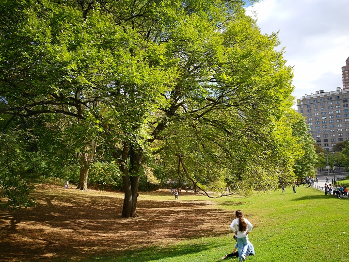 centralpark09 New York-果真大蘋果之紐約真好玩 中央公園 躺著曬太陽也愜意的好所在