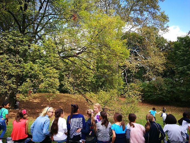centralpark10 New York-果真大蘋果之紐約真好玩 中央公園 躺著曬太陽也愜意的好所在