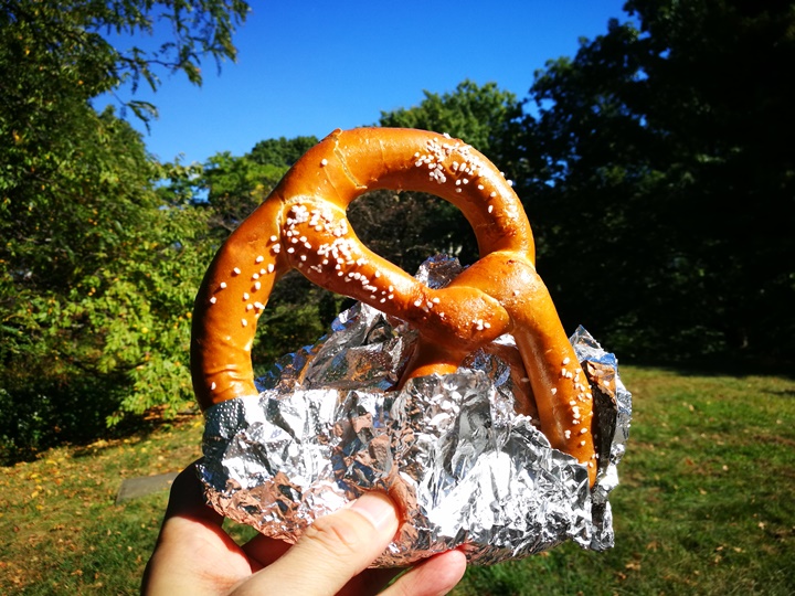 centralpark12 New York-果真大蘋果之紐約真好玩 中央公園 躺著曬太陽也愜意的好所在