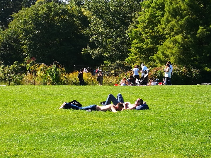 centralpark15 New York-果真大蘋果之紐約真好玩 中央公園 躺著曬太陽也愜意的好所在
