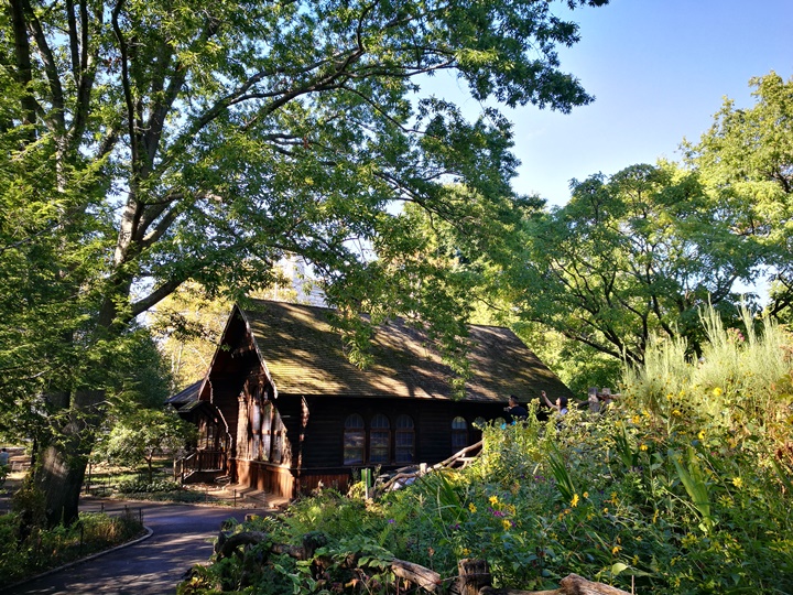 centralpark22 New York-果真大蘋果之紐約真好玩 中央公園 躺著曬太陽也愜意的好所在