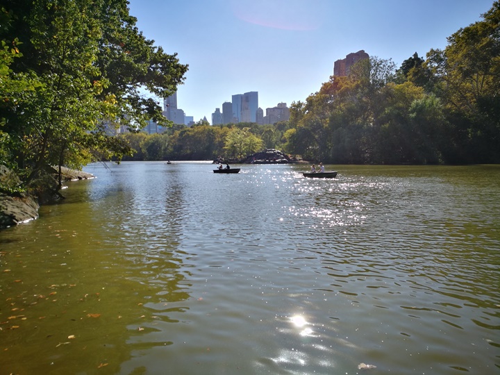 centralpark24 New York-果真大蘋果之紐約真好玩 中央公園 躺著曬太陽也愜意的好所在