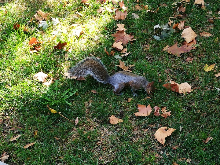 Philly15 Philadelphia-費城 自由鐘/獨立廳&賓大U Penn 美利堅合眾國的開端