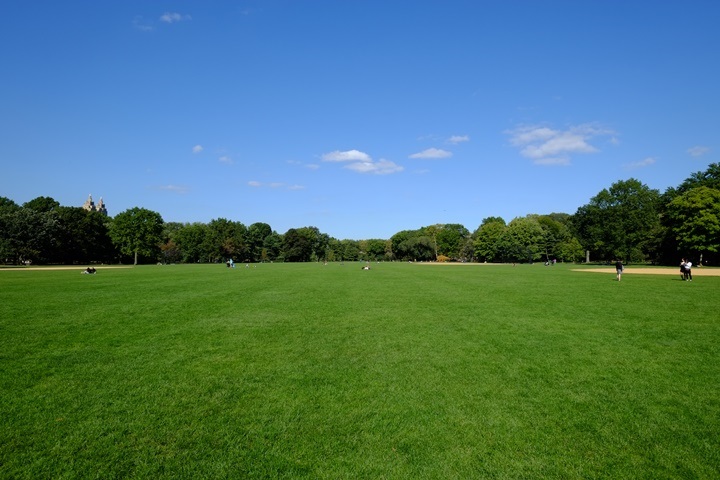 22centralparkk0103 New York-果真大蘋果之紐約真好玩 中央公園 躺著曬太陽也愜意的好所在