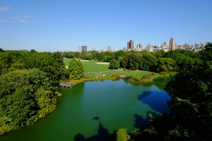 22centralparkk0105 New York-果真大蘋果之紐約真好玩 中央公園 躺著曬太陽也愜意的好所在