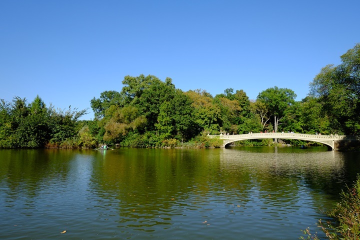22centralparkk0107 New York-果真大蘋果之紐約真好玩 中央公園 躺著曬太陽也愜意的好所在