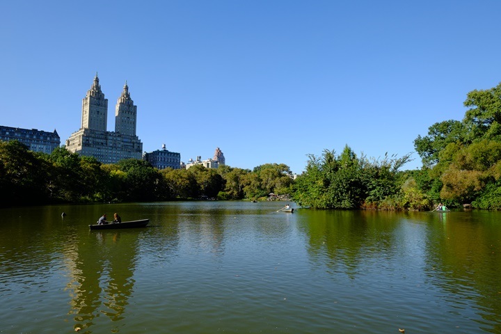 22centralparkk0108 New York-果真大蘋果之紐約真好玩 中央公園 躺著曬太陽也愜意的好所在