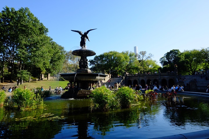 22centralparkk0110 New York-果真大蘋果之紐約真好玩 中央公園 躺著曬太陽也愜意的好所在