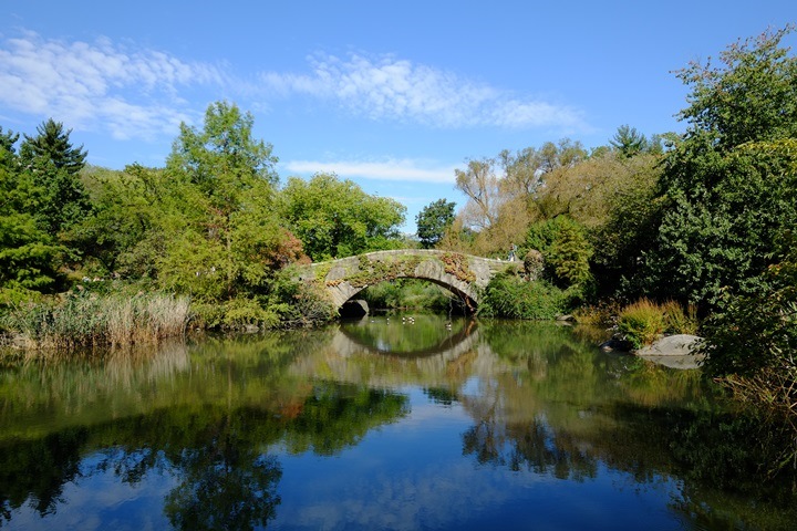 33centralpark02 New York-果真大蘋果之紐約真好玩 中央公園 躺著曬太陽也愜意的好所在