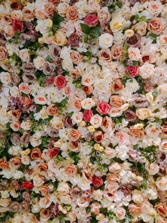 pankplaza 中壢-Pan.K.Plaza(中原柏德廣場) 花牆吸睛特色鬆餅