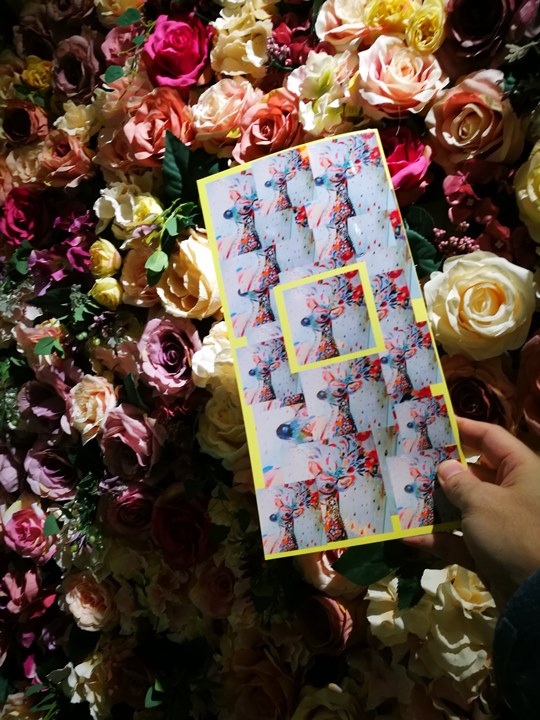 pankplaza0108 中壢-Pan.K.Plaza(中原柏德廣場) 花牆吸睛特色鬆餅