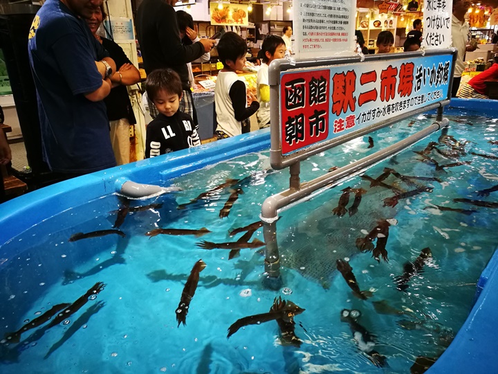 hakodatemorningmarket09 Hakodate-有趣函館朝市 きくよ食堂的海鮮丼飯 北海道必吃