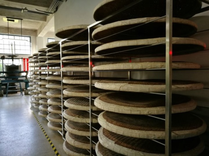 daxi20 大溪-大溪老茶廠 體現茶文化之網美戰場