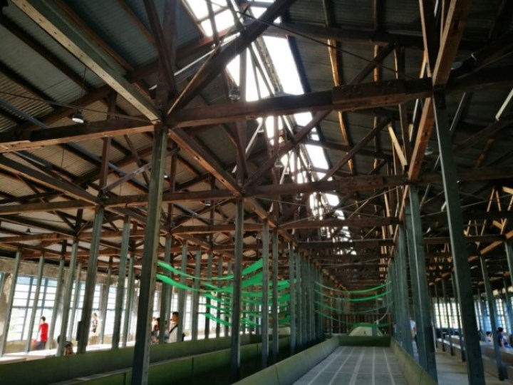 daxi29 大溪-大溪老茶廠 體現茶文化之網美戰場