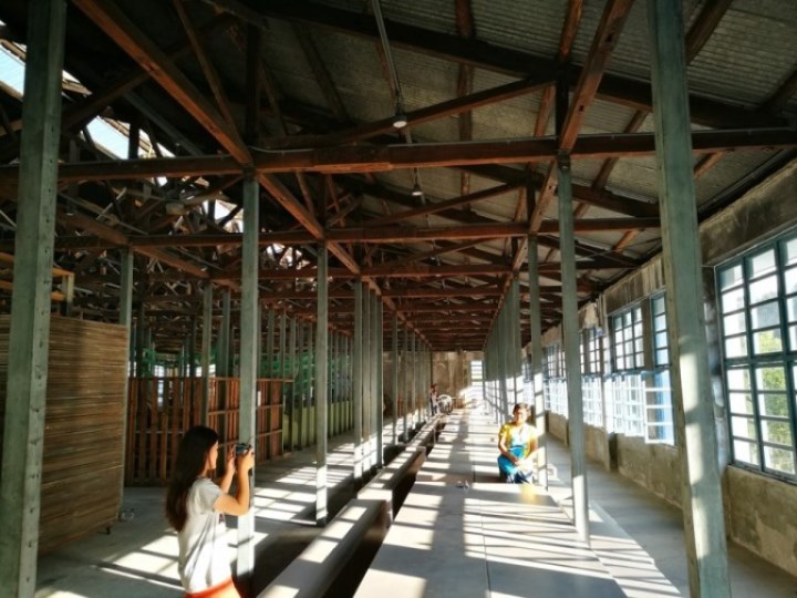 daxi32 大溪-大溪老茶廠 體現茶文化之網美戰場