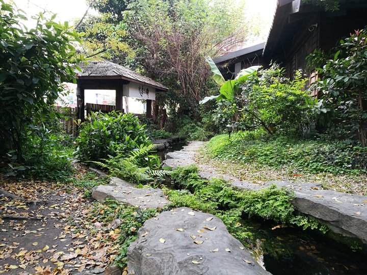 wewei02 南屯-無為草堂 老宅人文餐廳 鬧中取靜的桃花源