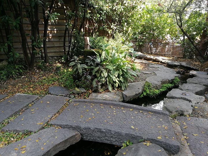 wewei03 南屯-無為草堂 老宅人文餐廳 鬧中取靜的桃花源