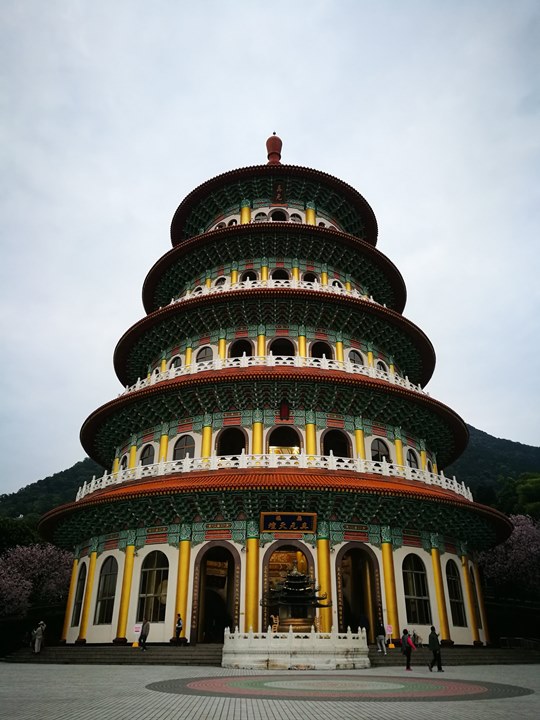 tienyuan04 淡水-晨光中綻放的櫻花 北台灣最夯賞櫻景點天元宮