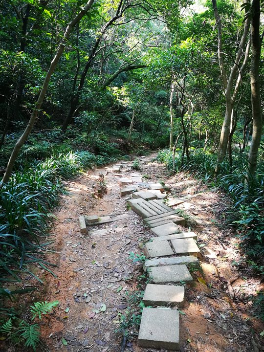 warship03 北投-快閃軍艦岩 360度景色遼闊 老少皆宜難度低