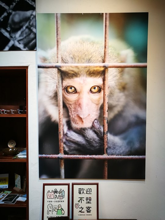 wethey19 中壢-我們他們咖啡 老街溪旁老屋屬於大家的咖啡館