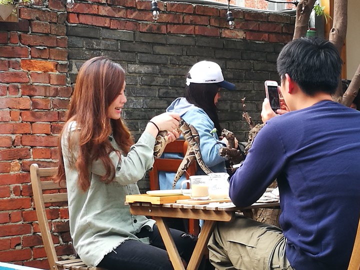 wethey29 中壢-我們他們咖啡 老街溪旁老屋屬於大家的咖啡館