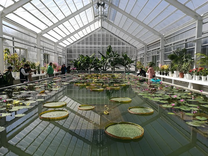 Beppu15-1 Beppu-別府地獄之旅 海地獄&血の池地獄 這明明就地熱谷...