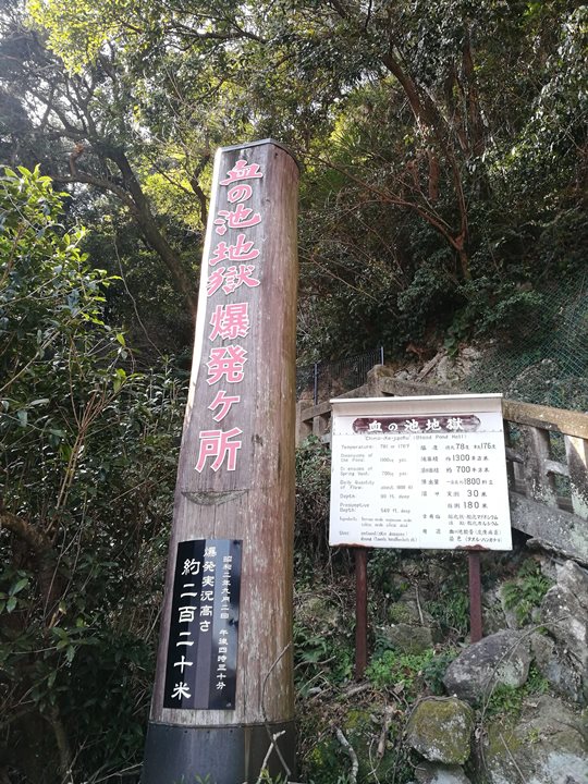 Beppu25-1 Beppu-別府地獄之旅 海地獄&血の池地獄 這明明就地熱谷...