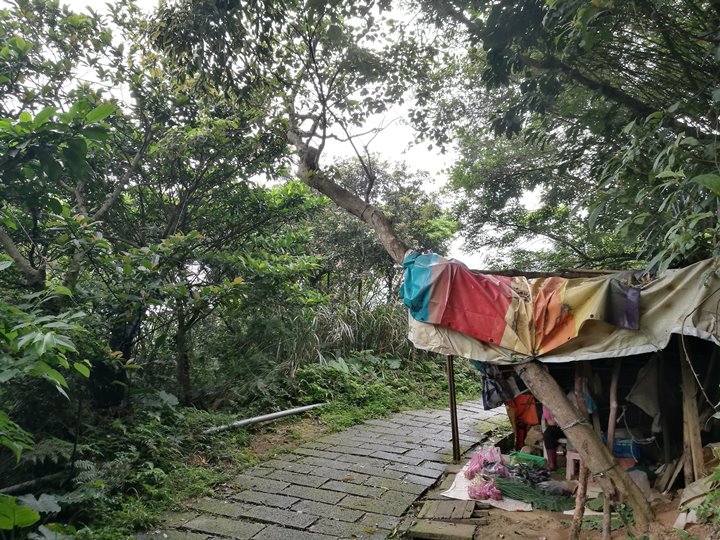 chingshanwaterfall08 石門-青山瀑布步道 輕鬆愜意舒適賞瀑布