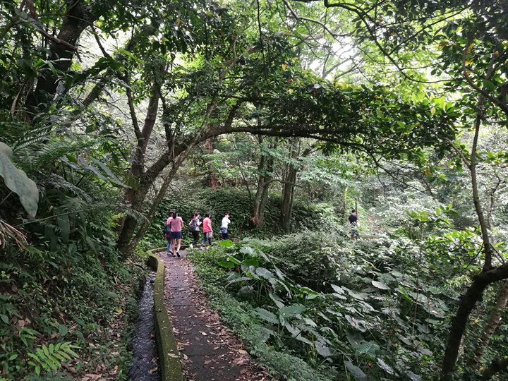 chingshanwaterfall09 石門-青山瀑布步道 輕鬆愜意舒適賞瀑布