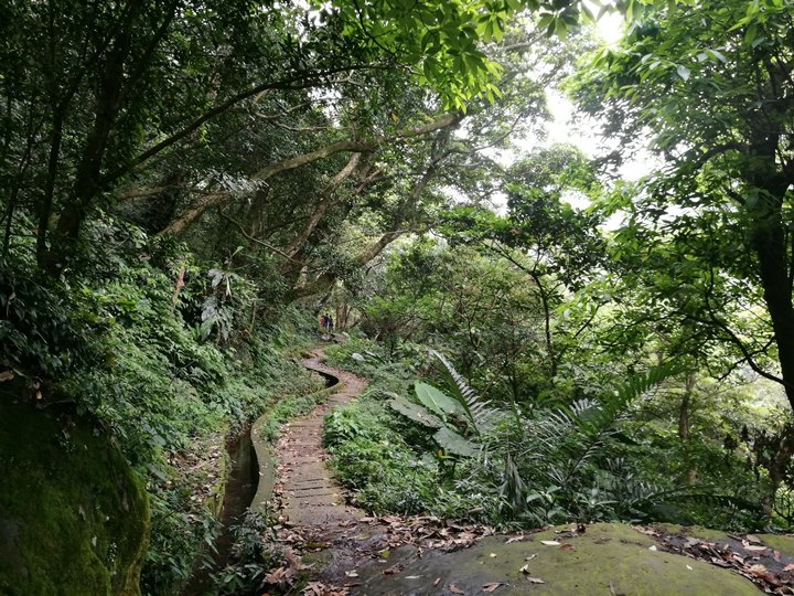 chingshanwaterfall15 石門-青山瀑布步道 輕鬆愜意舒適賞瀑布