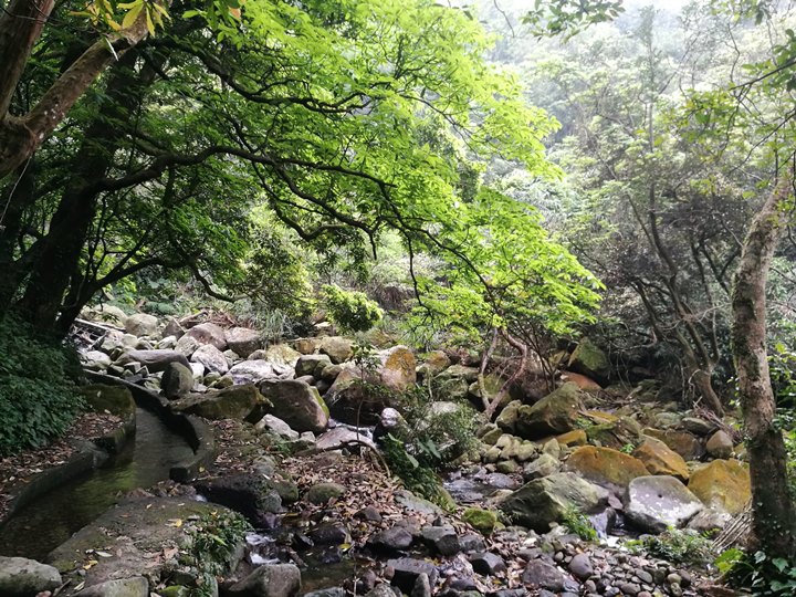 chingshanwaterfall16 石門-青山瀑布步道 輕鬆愜意舒適賞瀑布