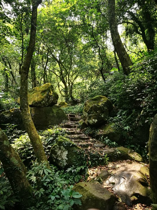 chingshanwaterfall27 石門-青山瀑布步道 輕鬆愜意舒適賞瀑布