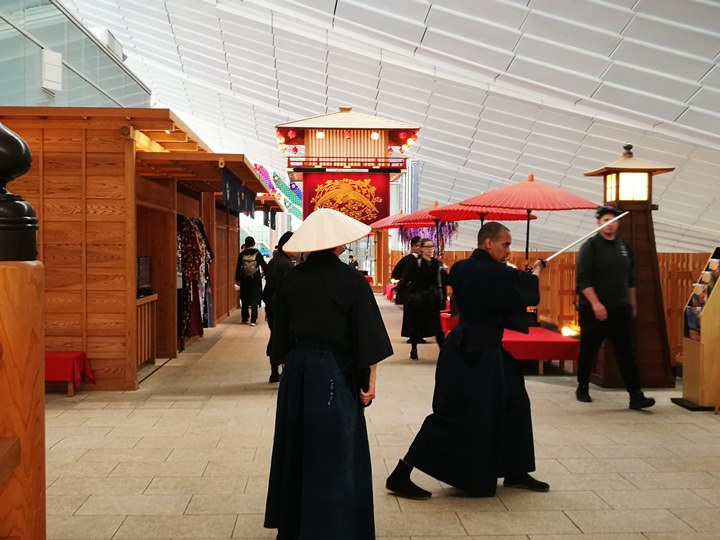 flyhaneda06 201804松山羽田 與櫻島初相見